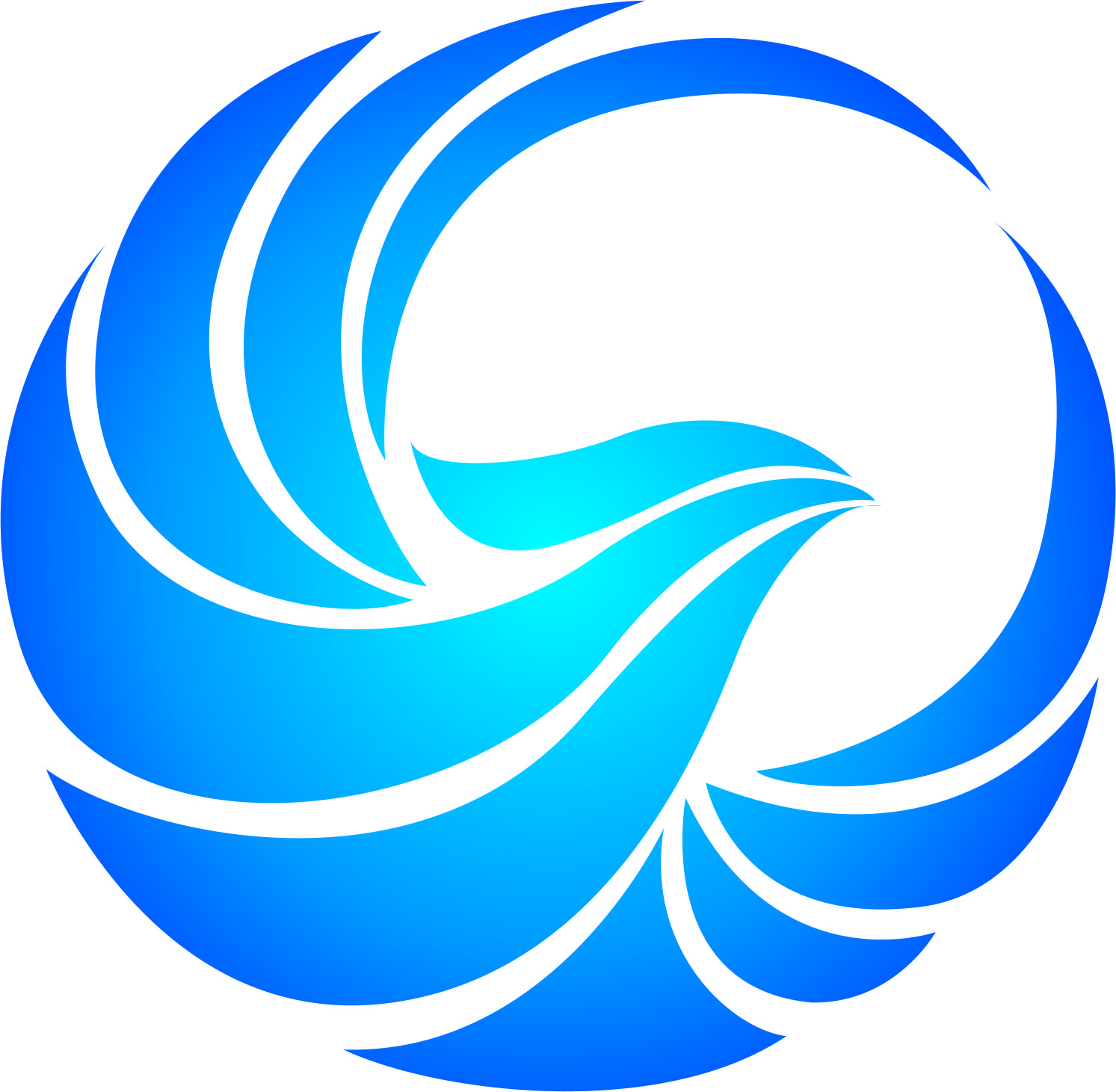 山东致胜信息科技有限公司
