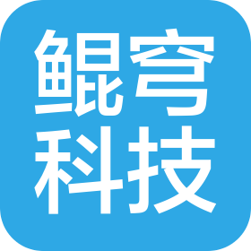 上海鯤穹科技有限公司