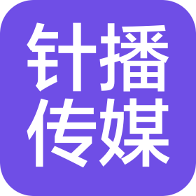 河南针播文化传媒有限公司