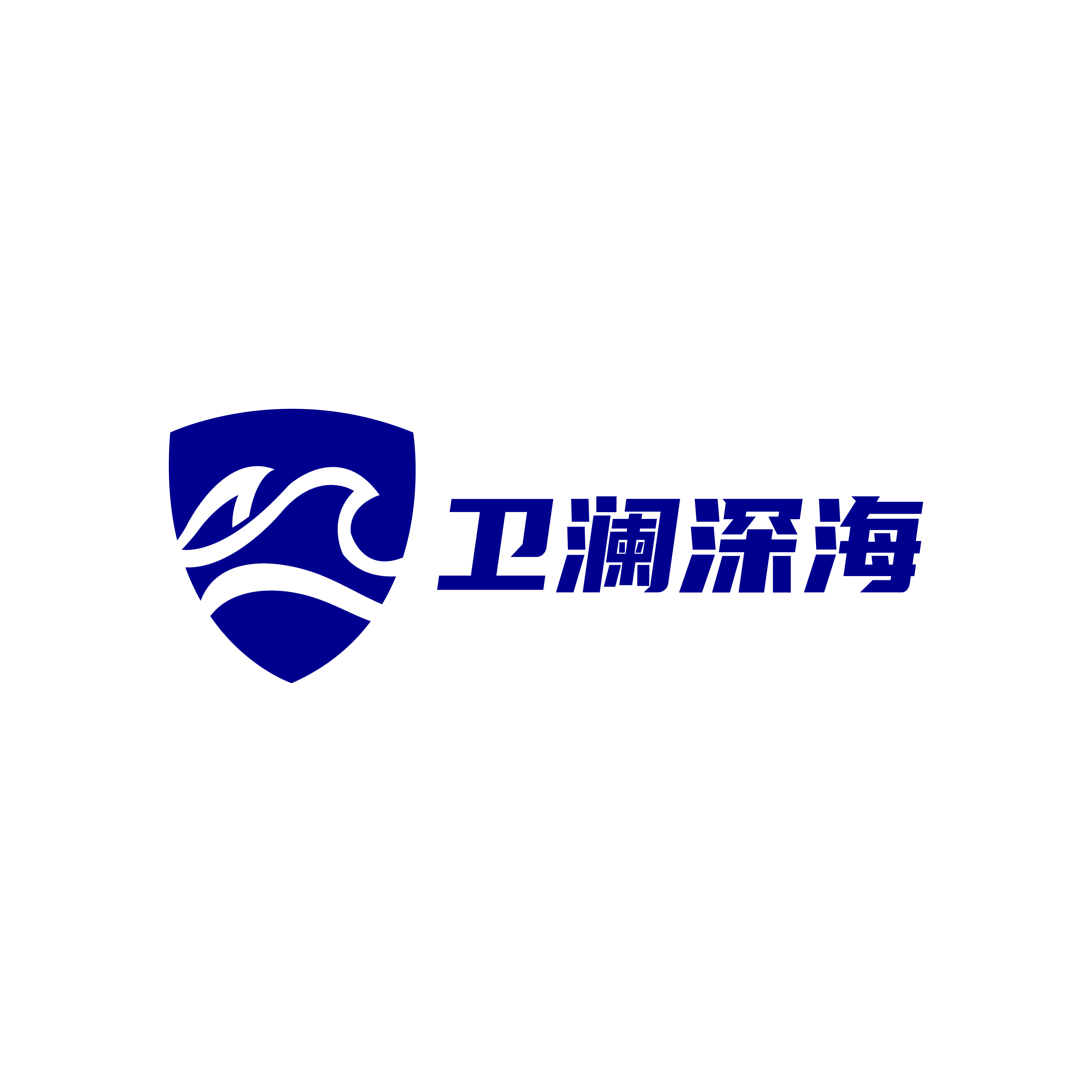 陕西卫澜深海信息科技有限公司