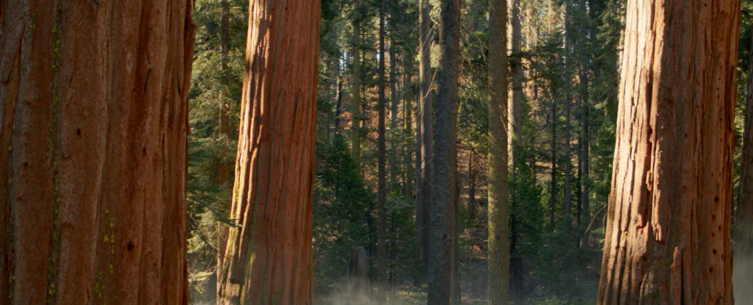 北京晖扬文娱有限公司