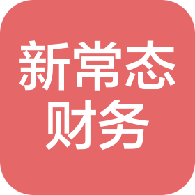 合肥新常態(tài)財(cái)務(wù)咨詢有限公司