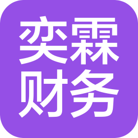 大连奕霖财税信息服务有限公司