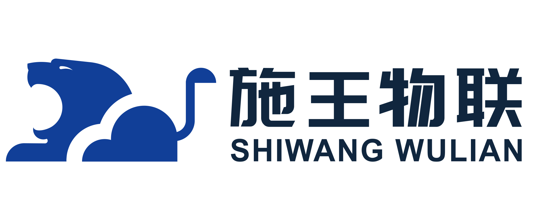 浙江施王物联科技有限公司