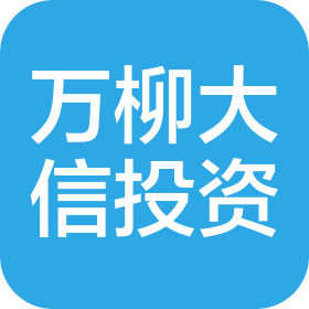 北京万柳大信投资有限公司