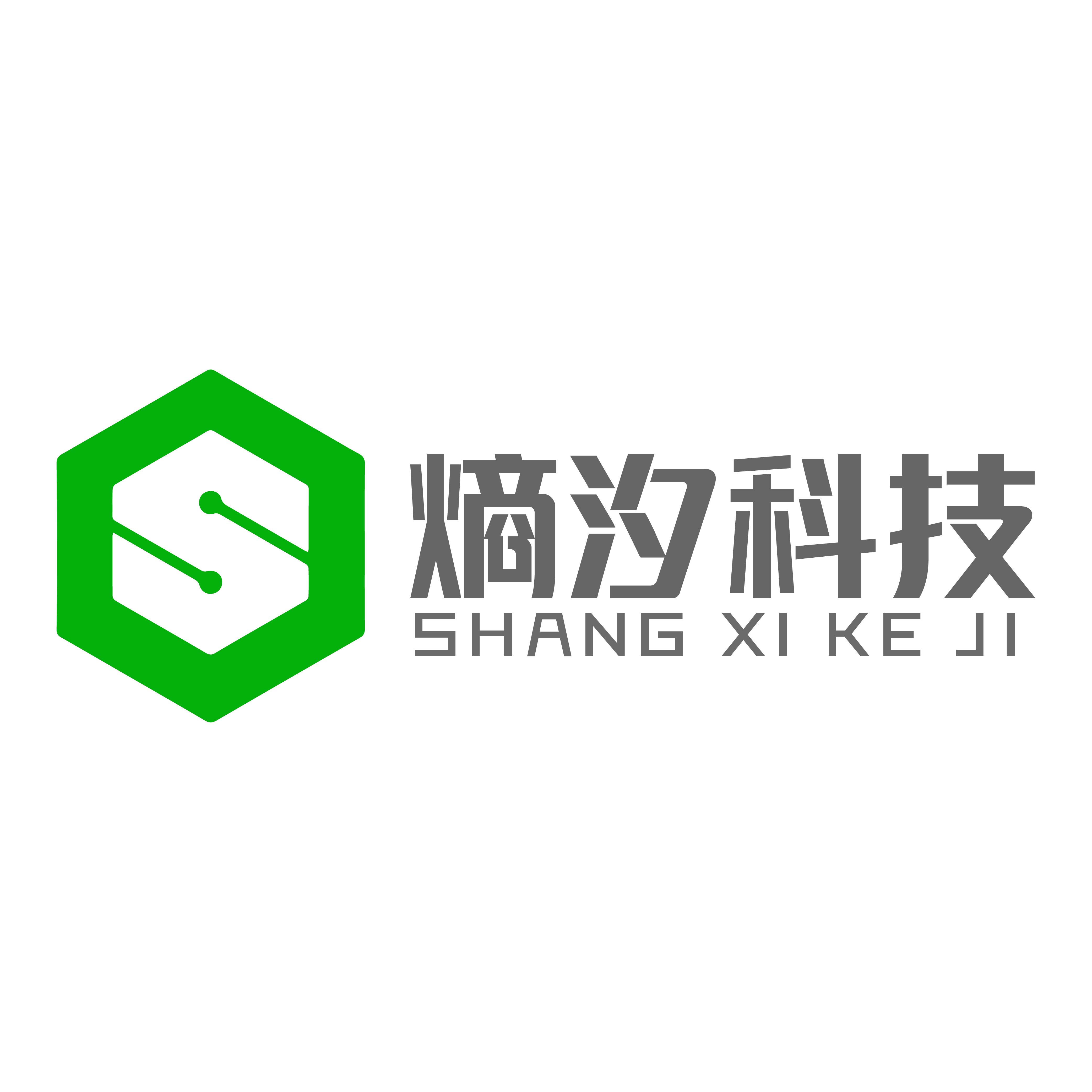 公司Logo