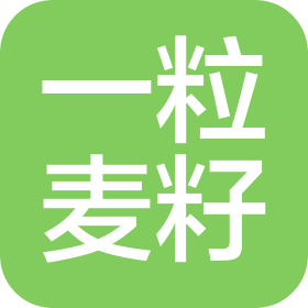 上海一粒麦籽信息有限责任公司