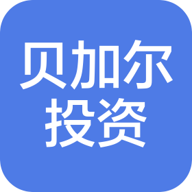 青岛贝加尔投资有限公司