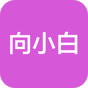 湛江向小白科技有限公司