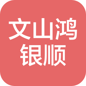 文山市鸿银顺科技信息服务有限公司