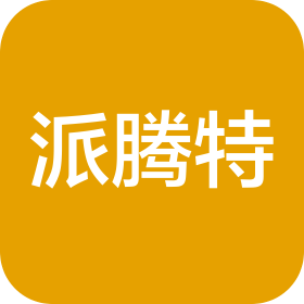山东派腾特信息科技服务有限公司