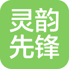 深圳市灵韵先锋科技有限公司