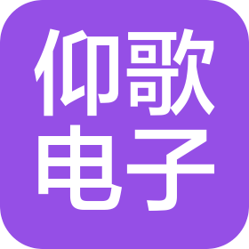 上海仰歌电子科技有限公司