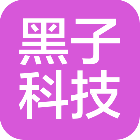 黑子信息科技(广东)有限公司