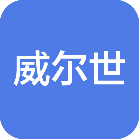 成都威尔世科技有限公司