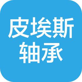 常州皮埃斯轴承有限公司