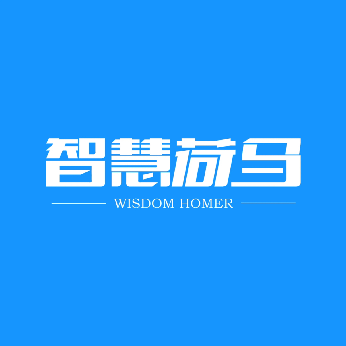 河北智慧荷马商贸有限公司