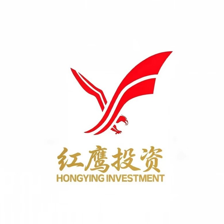 海南红鹰投资有限公司