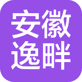 安徽逸畔信息技术咨询有限公司