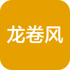 东莞市龙卷风网络有限公司