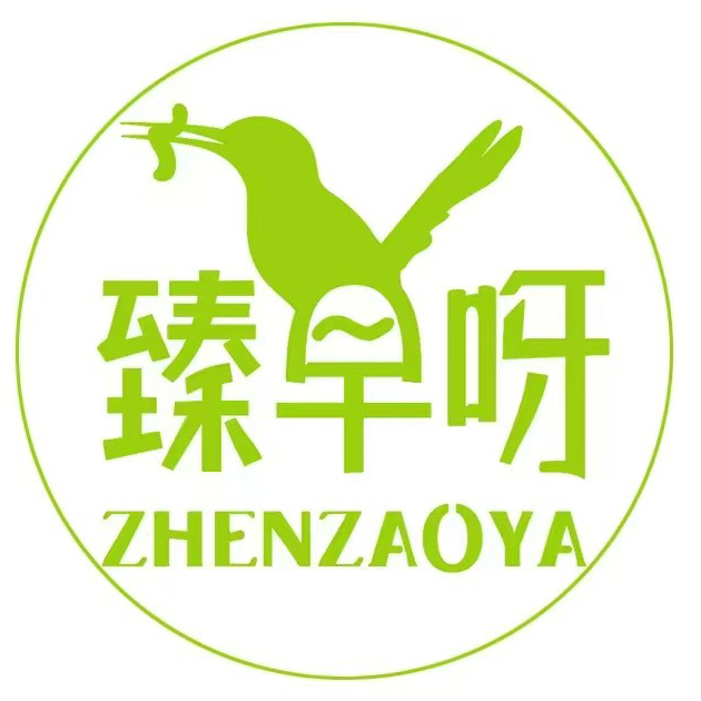 南京臻早呀信息科技有限公司