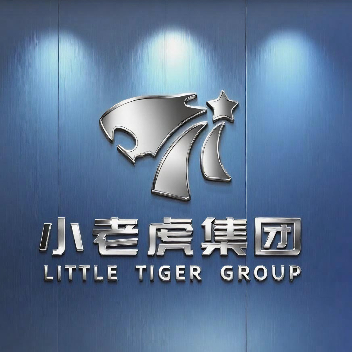 长沙小老虎教育科技有限公司