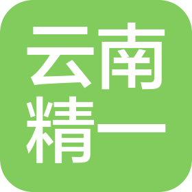云南精一电力科技有限责任公司