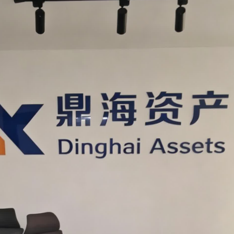 山东鼎海资产运营有限公司