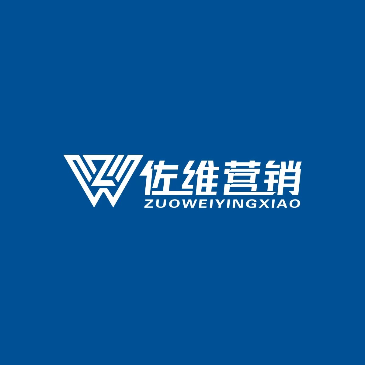 广州佐维营销策划有限公司