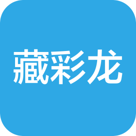 南京藏彩龙艺术培训有限公司