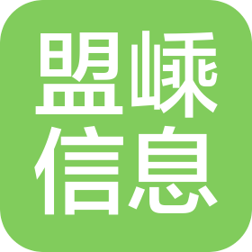 山东盟嵊信息技术有限公司