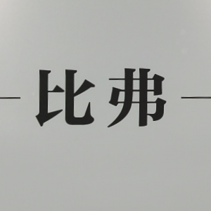 嘉兴市比弗服饰有限公司