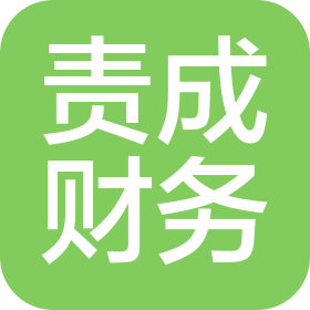 上海责成财务咨询事务所