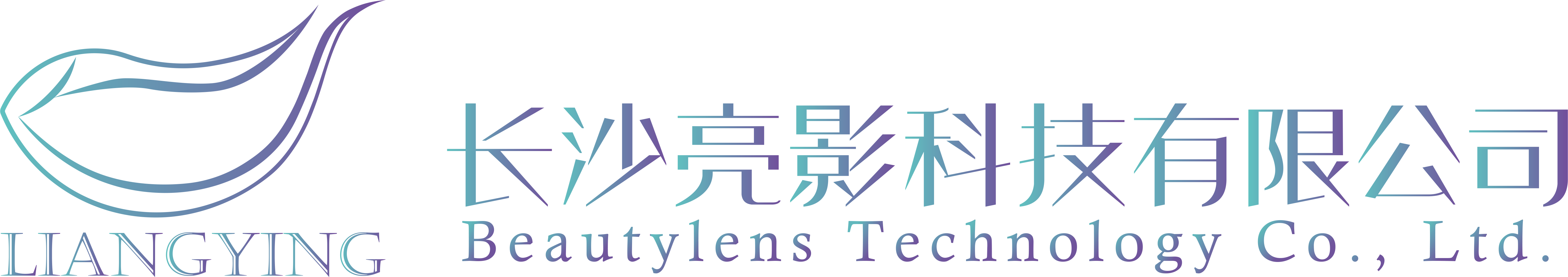 长沙亮影科技有限公司