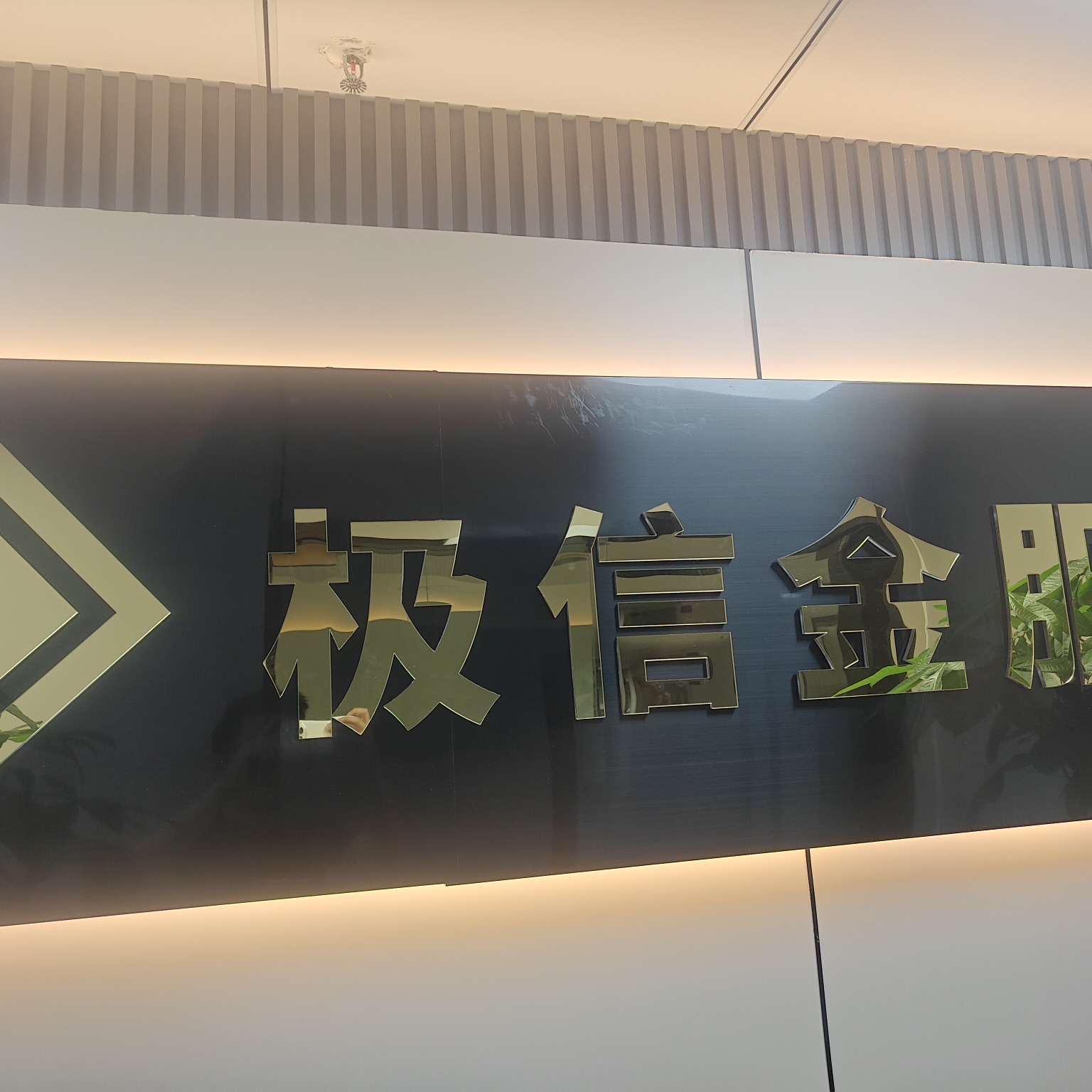 苏州极信金联信息咨询有限公司