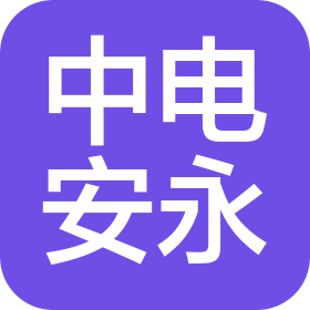 中电安永投资有限公司