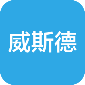 武汉市威斯德电梯工程有限公司