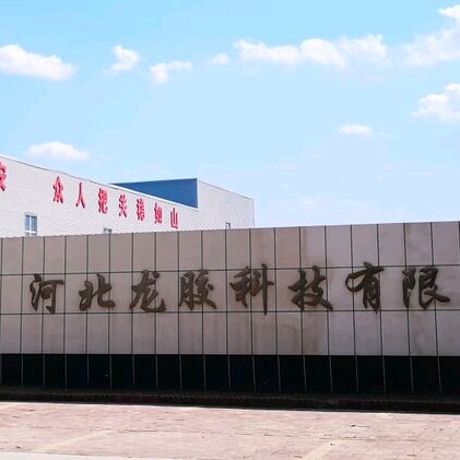 河北龙胶科技有限公司