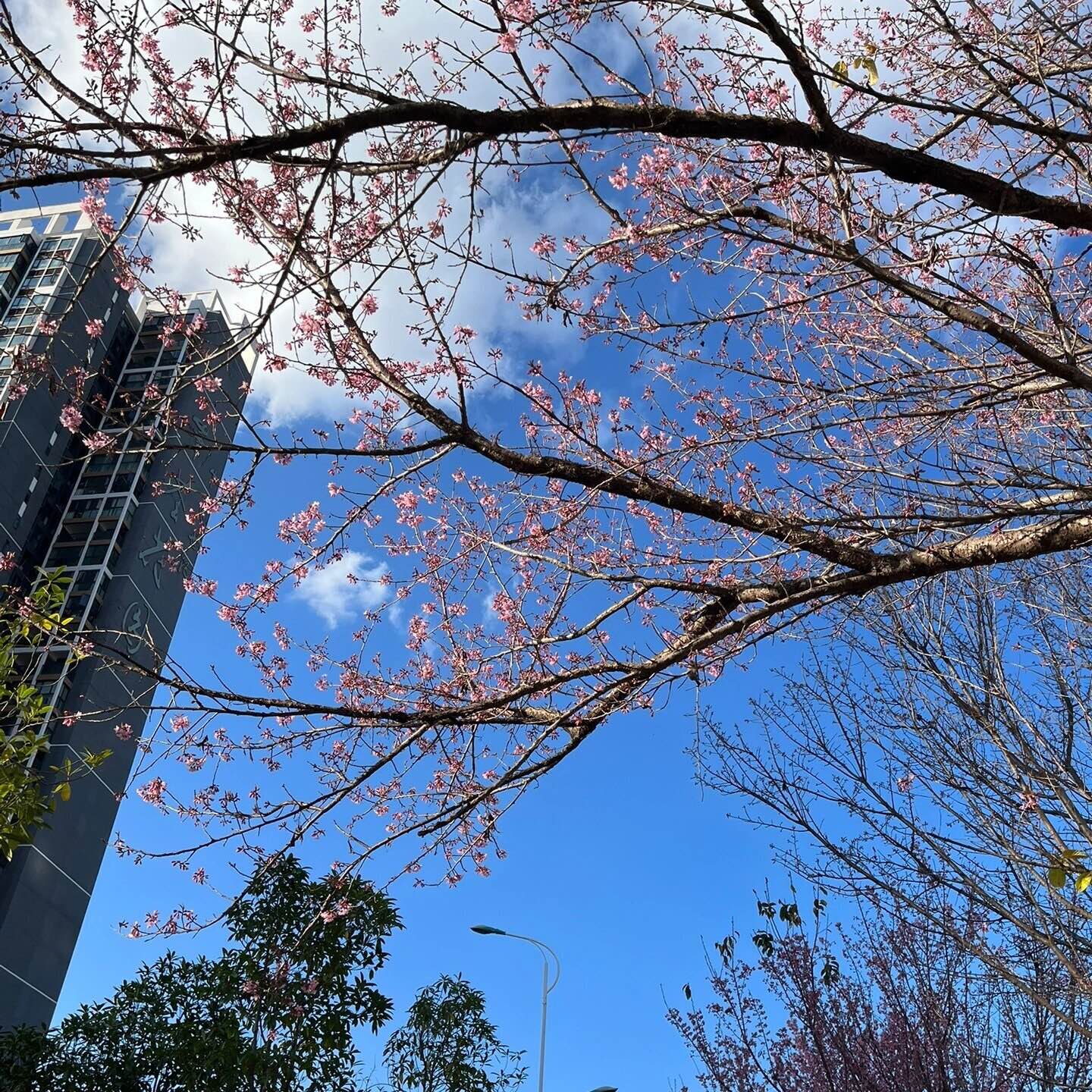 湖南坤楚科技有限公司