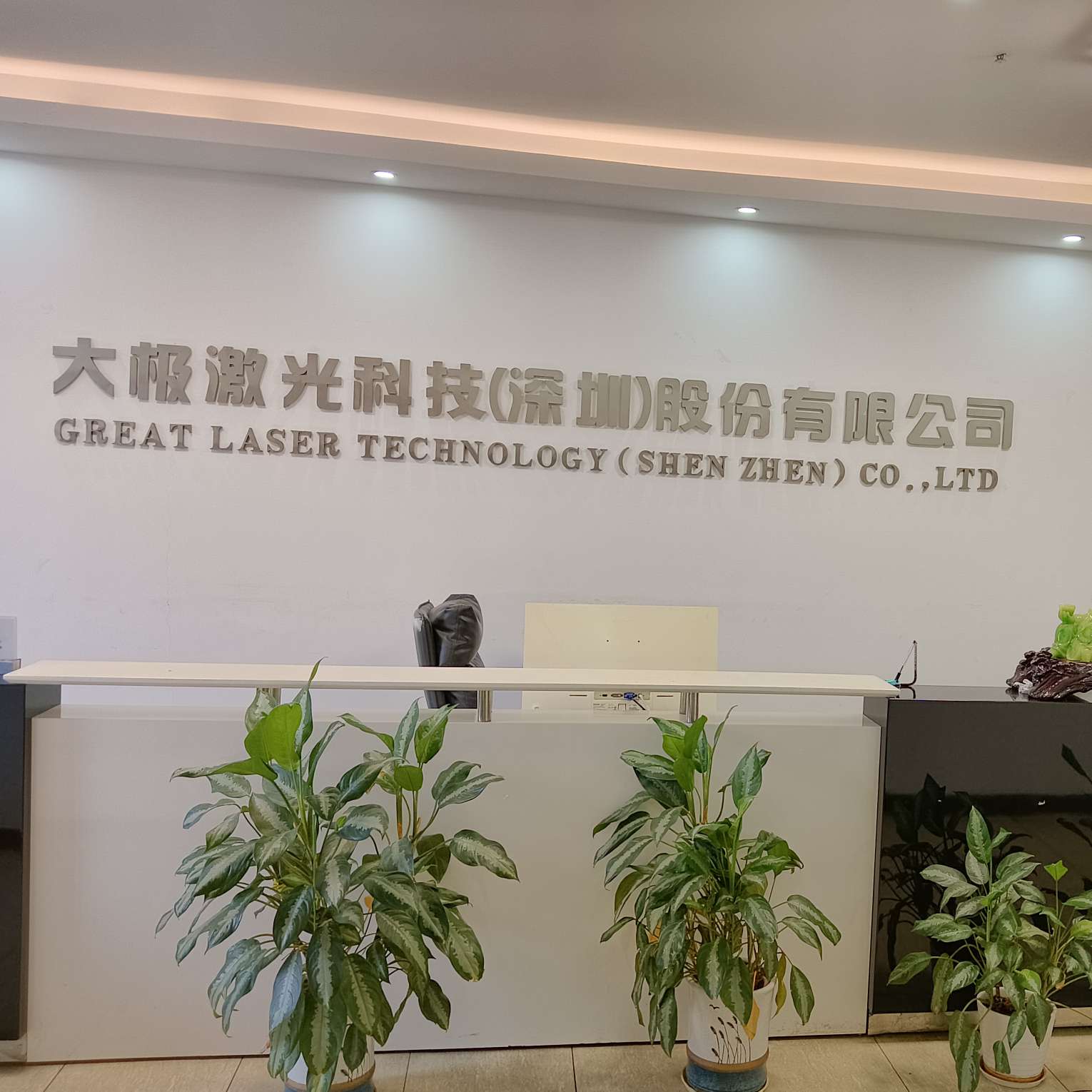 大极智能装备(广东)股份有限公司