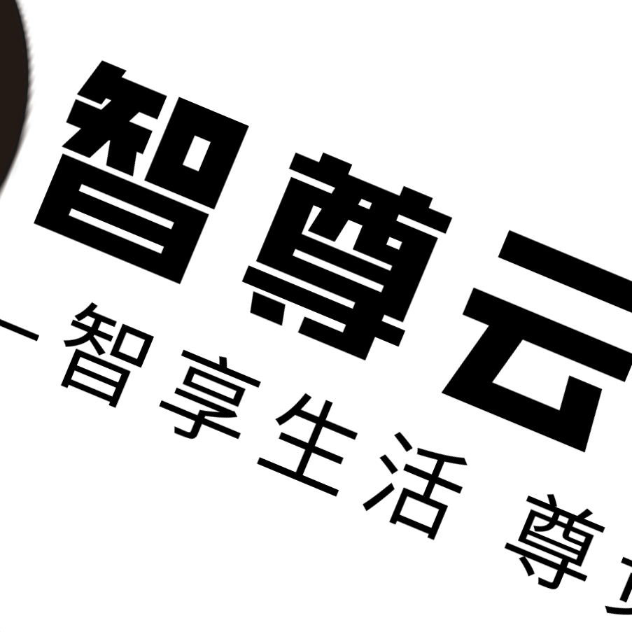 辽宁智尊云科技有限公司