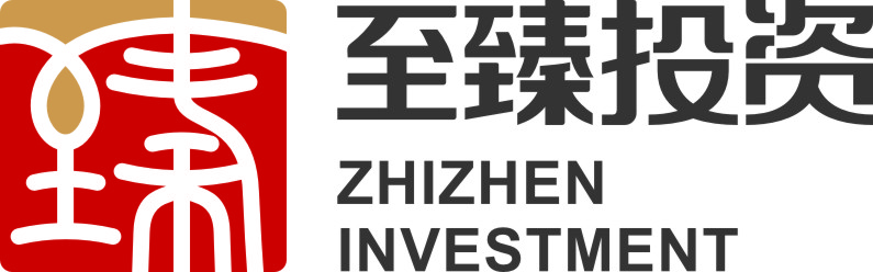 广西至臻投资有限公司