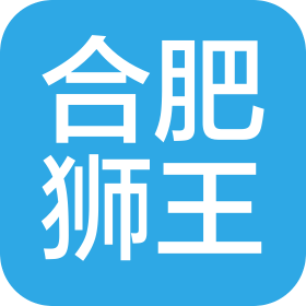 合肥狮王电子科技有限责任公司