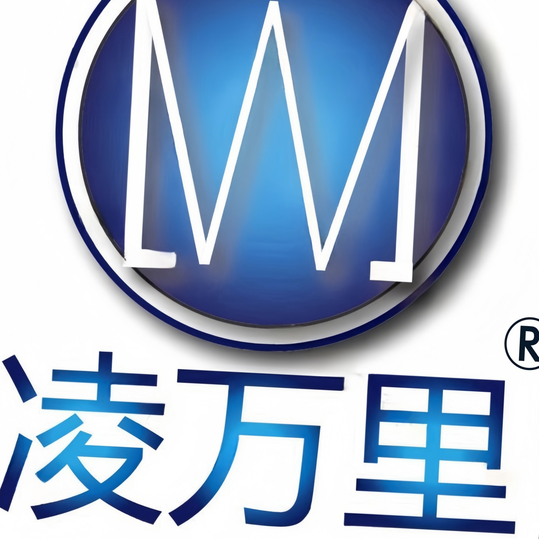 山西凌万里电子科技有限公司