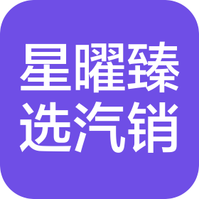 威海星曜臻选汽车销售服务有限公司