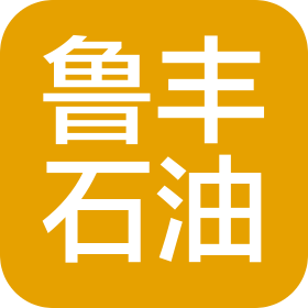 山东鲁丰石油有限责任公司
