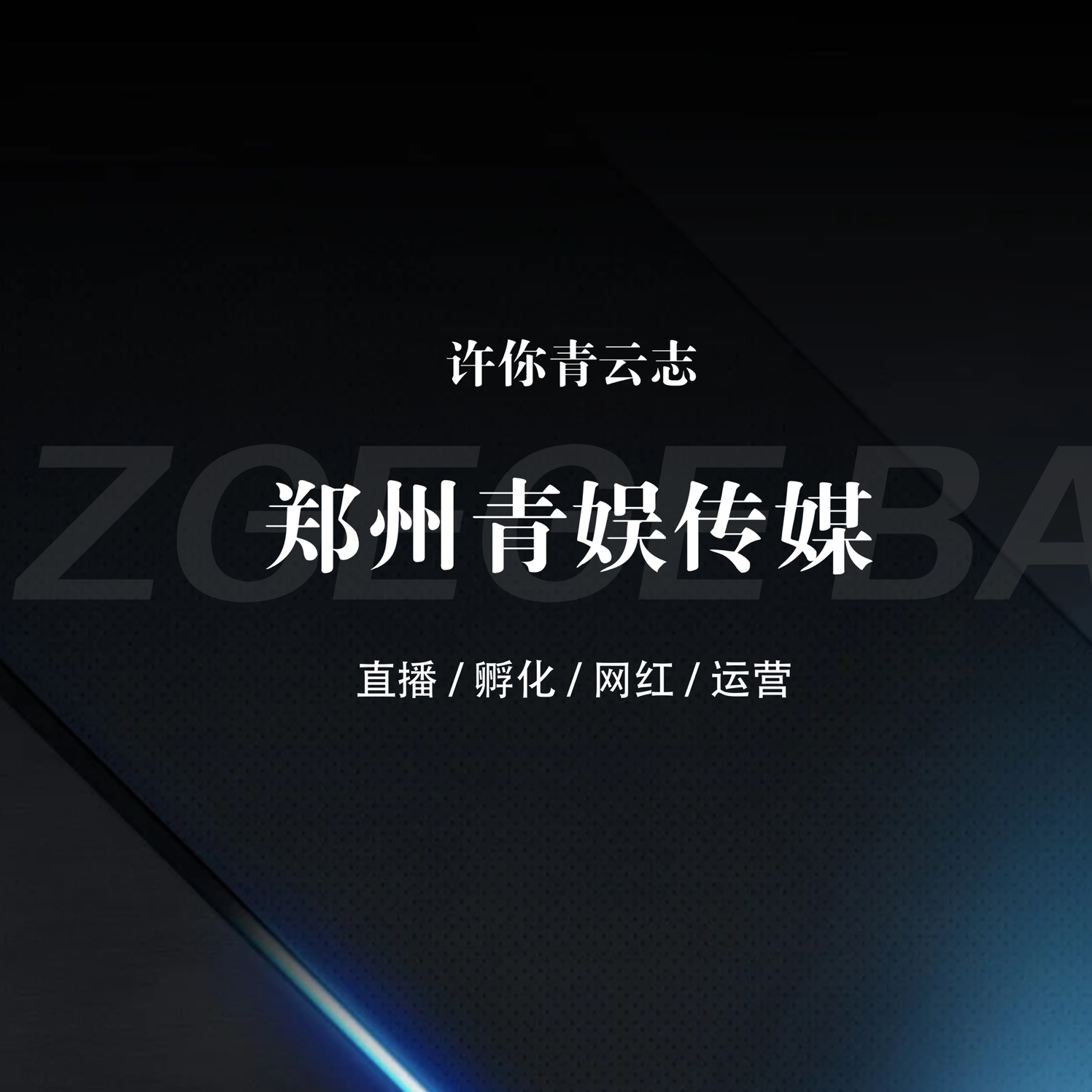 郑州青娱传媒有限公司