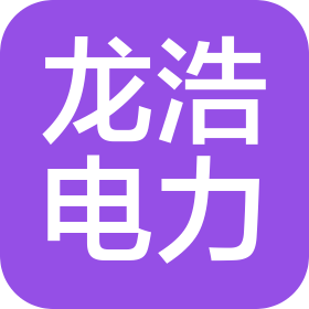 山东龙浩电力科技有限公司