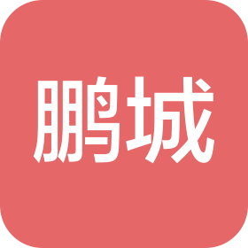 广州鹏城汽车配件有限公司