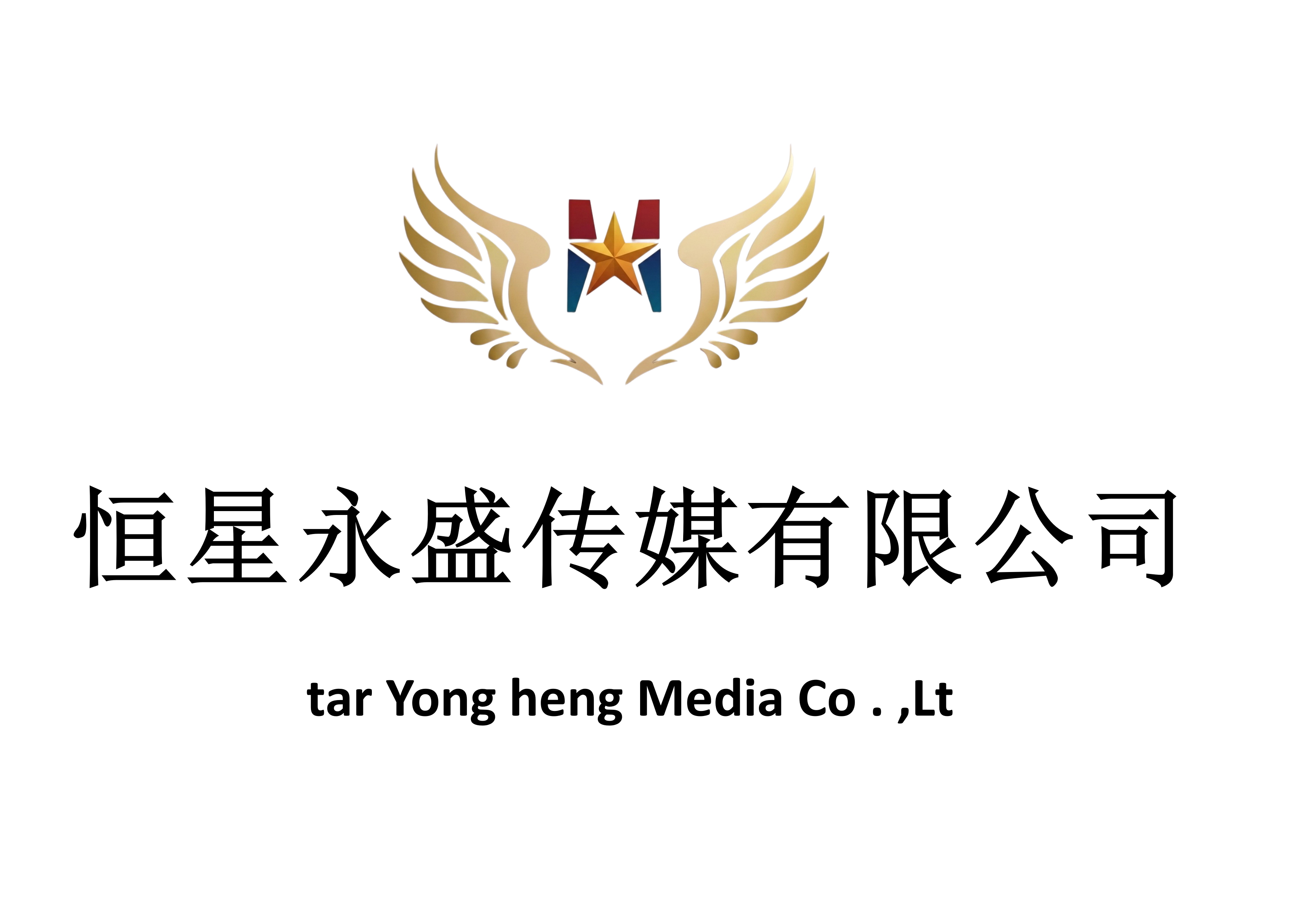 恒星永盛传媒(吉林省)有限公司